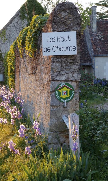 Les Hauts De Chaume Genille Екстер'єр фото